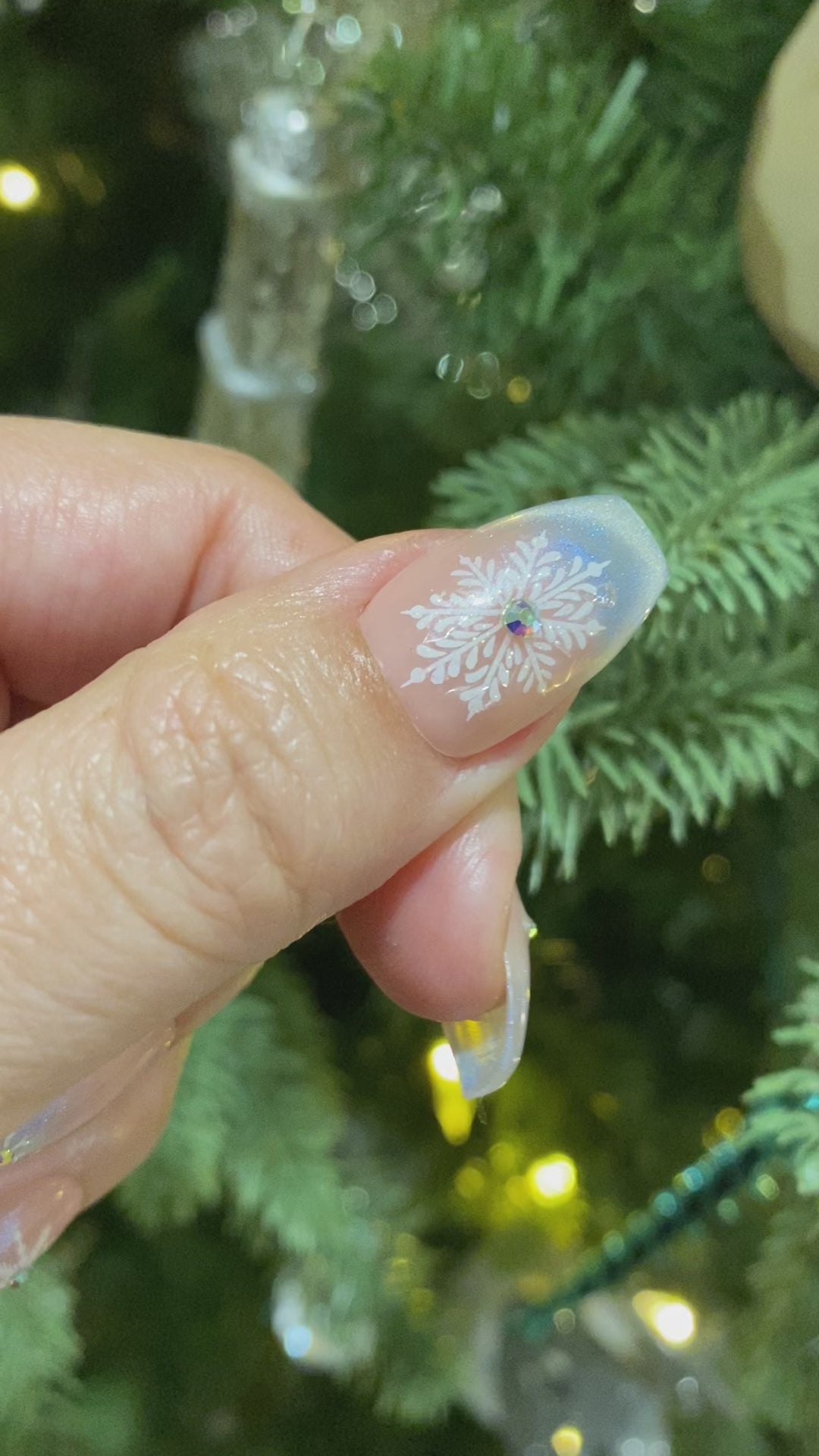 Frosty French- magnetic press on nails