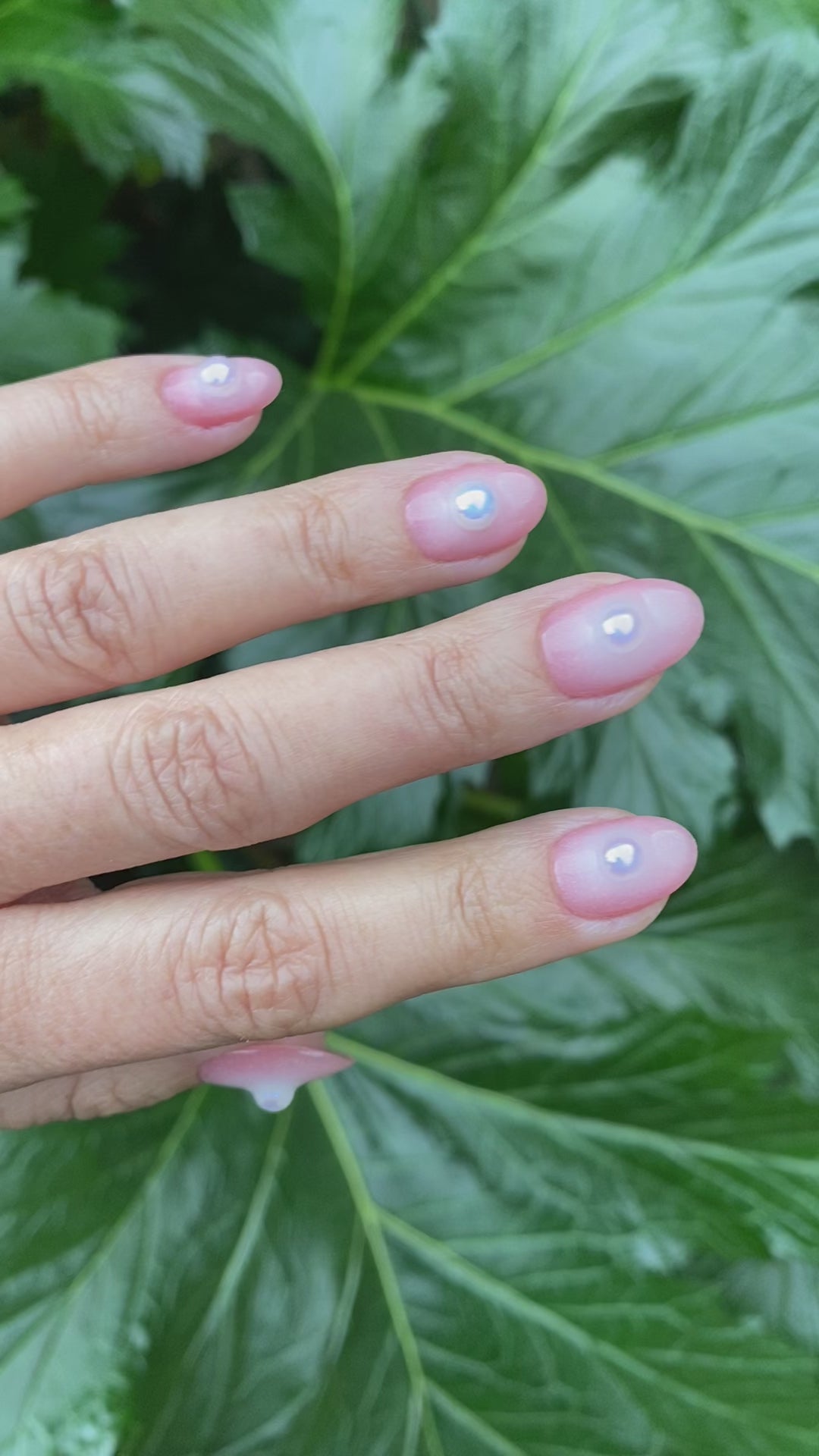 Pearlina: aura ombré - press-on nails