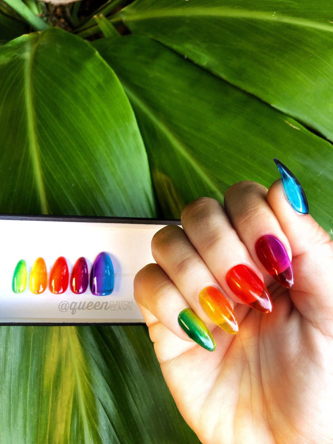 Aloha Pride Jellies!